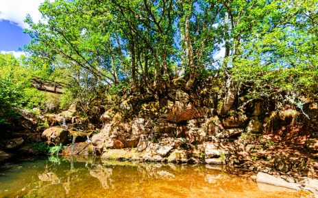 Nearby wild swimming